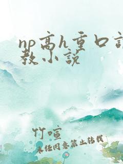 np高h重口调教小说