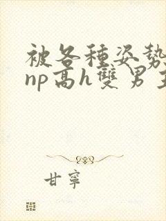 被各种姿势玩弄np高h双男主s