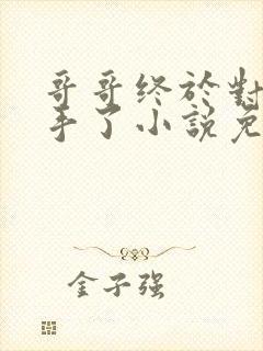 哥哥终于对我下手了小说免费