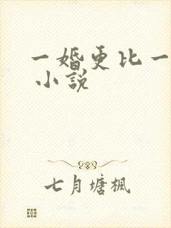 一婚更比一婚高 小说