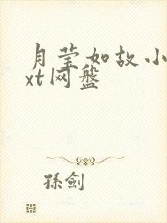 月莹如故小说txt网盘