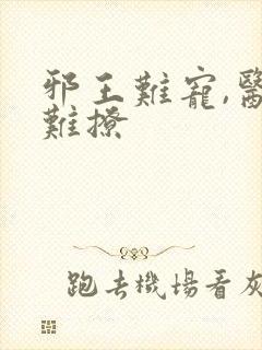 邪王难宠,医妃难撩