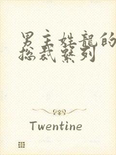 男主姓龙的豪门总裁系列