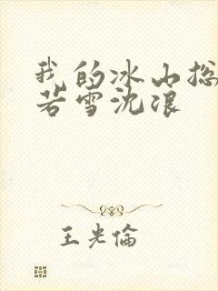 我的冰山总裁苏若雪沈浪