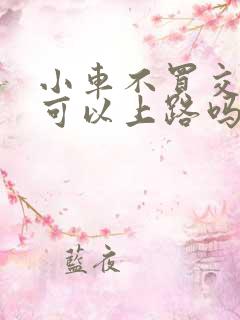 小车不买交强险可以上路吗