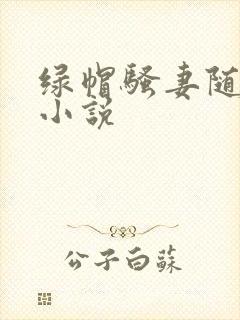 绿帽骚妻随便干小说