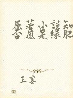 原著小说知否知否应是绿肥红瘦