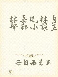 林长风林月曦是哪部小说主角