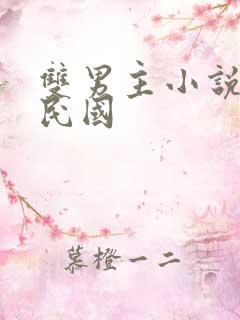 双男主小说推荐民国