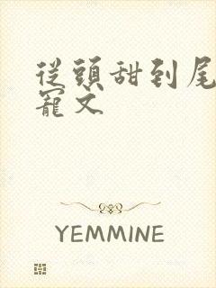 从头甜到尾的甜宠文