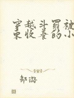 穿越斗罗被比比东收养的小说