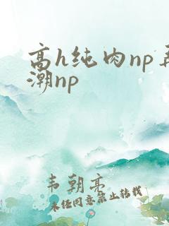 高h纯肉np弄潮np