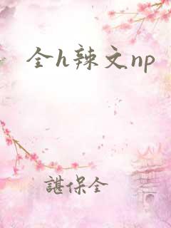 全h辣文np