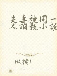 夫妻被同一个主人调教小说