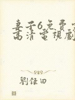 妻子6免费完整高清电视剧