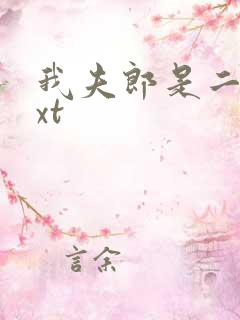 我夫郎是二嫁txt