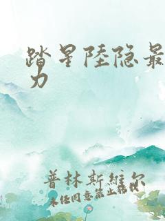 踏星陆隐最终实力