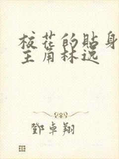 校花的贴身高手主角林逸