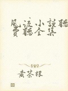 风流小说听书免费听全集