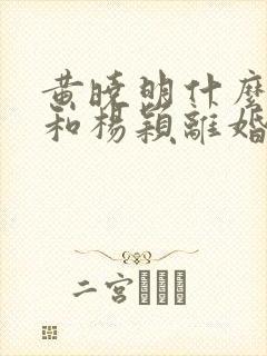 黄晓明什么时候和杨颖离婚的