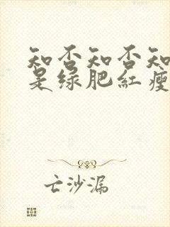 知否知否知否应是绿肥红瘦dvd版在线观看