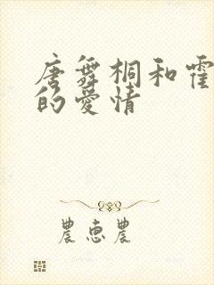 唐舞桐和霍雨浩的爱情