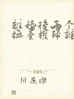 离婚后两个小孩抚养权归谁