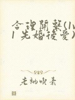 合理关系(1v1 先婚后爱)