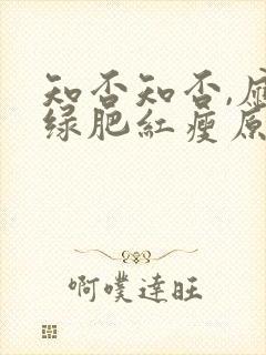 知否知否,应是绿肥红瘦原著小说