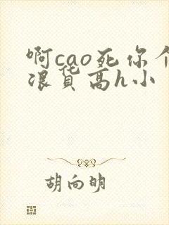 啊cao死你个浪货高h小