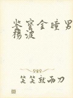 鉴宝金瞳男主角杨波