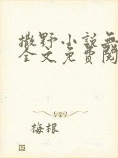 撒野小说无删减全文免费阅读