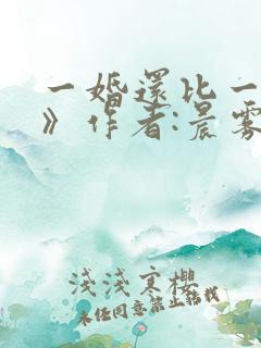 一婚还比一婚高》作者:晨雾的光