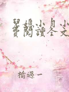 儿媳小月小说免费阅读全文