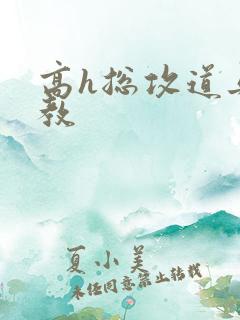 高h总攻道具调教