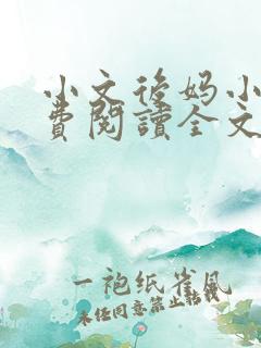 小文后妈小说免费阅读全文最新章节