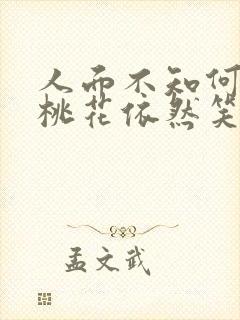 人面不知何处去桃花依然笑春风