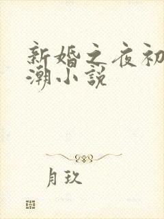 新婚之夜初尝高潮小说