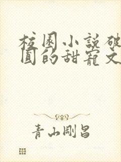 校园小说破镜重圆的甜宠文