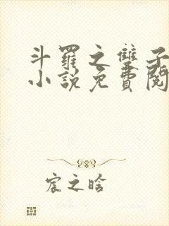 斗罗之双子斗罗小说免费阅读