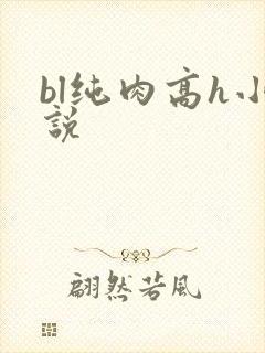 bl纯肉高h小说