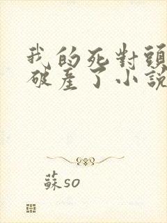 我的死对头终于破产了小说好看吗