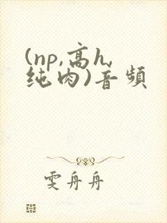 (np,高h,纯肉)音频