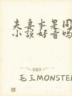 夫妻本是同林鸟小说好看吗