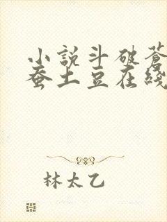 小说斗破苍穹天蚕土豆在线阅读