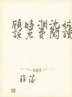顾时渊沈婉婷小说免费阅读最新章节