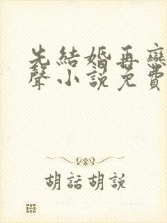 先结婚再恋爱有声小说免费收听