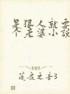 是狠人就要娶四个老婆小说阅读