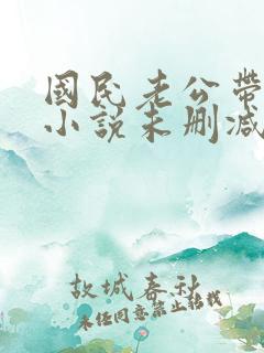 国民老公带回家小说未删减