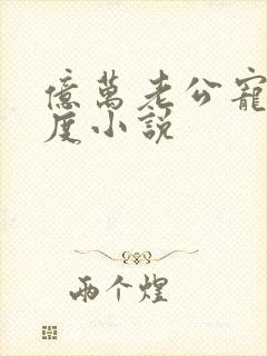 亿万老公宠妻无度小说